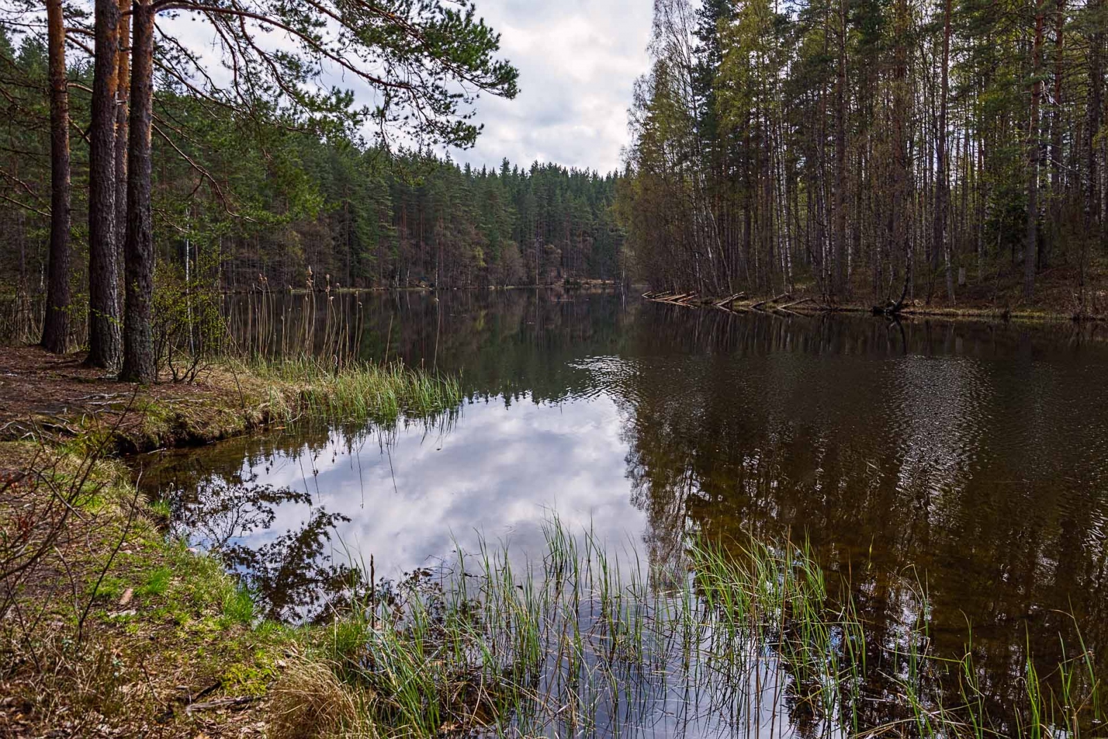 Озеро Узорное Приозерский район